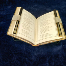 Load image into Gallery viewer, Mauchline Binding for the Ladies: Gift of Love and Friendship (1874)