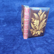 Load image into Gallery viewer, Mauchline Binding for the Ladies: Gift of Love and Friendship (1874)