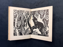 Load image into Gallery viewer, Hero Pigeons: Dhan Gopal Mukerji, Gay-Neck (1928)