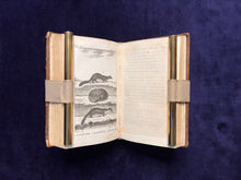 Load image into Gallery viewer, Cats, dogs, & Natural History: René Richard Castel - Histoire naturelle de Buffon (1799)