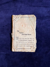 Load image into Gallery viewer, Hurt 8-Headed Dragon Seeks Home: The Serpent with Eight Heads (1886)