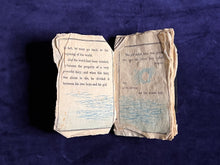 Load image into Gallery viewer, Hurt 8-Headed Dragon Seeks Home: The Serpent with Eight Heads (1886)