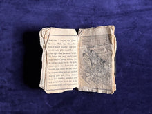 Load image into Gallery viewer, Hurt 8-Headed Dragon Seeks Home: The Serpent with Eight Heads (1886)