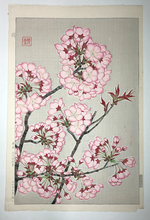 Load image into Gallery viewer, Kawarazaki Shodo, Untitled (Cherry Blossoms, pink) (1950-1956)