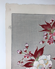 Load image into Gallery viewer, Kawarazaki Shodo, Untitled Cherry Blossoms (Red) (1950-1956)