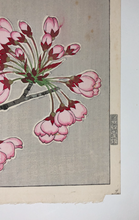 Load image into Gallery viewer, Kawarazaki Shodo, Untitled (Cherry Blossoms, pink) (1950-1956)