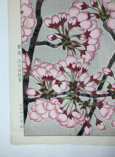 Load image into Gallery viewer, Kawarazaki Shodo, Untitled (Cherry Blossoms, pink) (1950-1956)