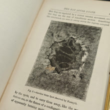 Load image into Gallery viewer, Figuier - The Day after death (1884)
