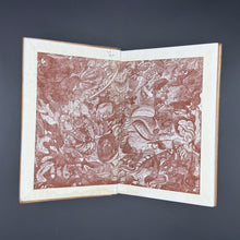 Load image into Gallery viewer, Tylar - The Great Bournemouth Mystery: The Spirit of Irene Speaks (1923)
