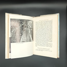 Load image into Gallery viewer, Davies -  About Sharks and Shark Attack (1964)
