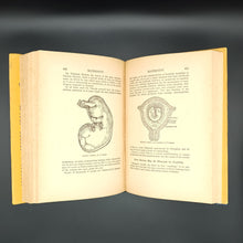 Load image into Gallery viewer, Rubin -  Eugenics and Sex Harmony (1941)
