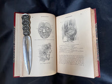 Load image into Gallery viewer, Darwin - The Works of Charles Darwin (1896-1897)
