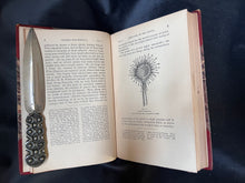 Load image into Gallery viewer, Darwin - The Works of Charles Darwin (1896-1897)

