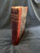 Load image into Gallery viewer, Darwin - The Works of Charles Darwin (1896-1897)
