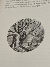 Load image into Gallery viewer, Wolfe - Startling Facts in Modern Spiritualism (1883)
