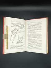 Load image into Gallery viewer, Danmar - Ghostology (1924)
