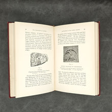 Load image into Gallery viewer, Cumont - Mysteries of Mithra (1910)

