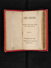 Load image into Gallery viewer, Dew-Drops (1847 or 1849) [MINIATURE]
