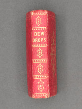 Load image into Gallery viewer, Dew-Drops (1847 or 1849) [MINIATURE]
