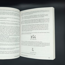 Load image into Gallery viewer, Flynn - David Flynn Collection (2012)
