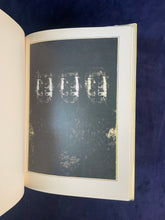 Load image into Gallery viewer, Renewing Dante : Dante&#39;s Inferno - Dante Alighieri (1985)
