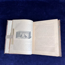 Load image into Gallery viewer, Pigeons as the Highest Form of Beauty: The Illustrated Book of Pigeons - Fulton (1874-1881)
