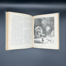 Load image into Gallery viewer, Lectures illustrées pour les enfants (1878)
