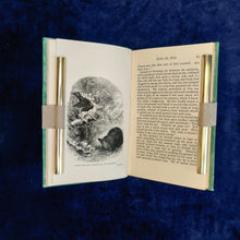 Load image into Gallery viewer, : The Personal Experience of Robin the Bold (n.d.; 1880s)
