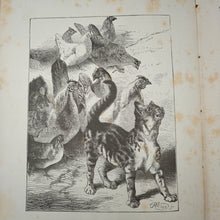 Load image into Gallery viewer, Peep-Show (1882)
