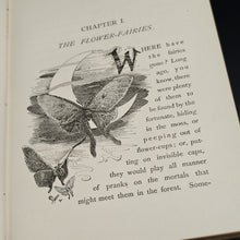 Load image into Gallery viewer, Hook - Little People and their Home in Meadows, Woods, and Waters (1888)
