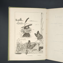 Load image into Gallery viewer, Hook - Little People and their Home in Meadows, Woods, and Waters (1888)
