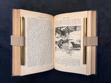 Load image into Gallery viewer, Art Nouveau Seascape &amp; Victorian Illustrations: Captain Merryat &amp; J. Ayton Symington, Peter Simple (1895)
