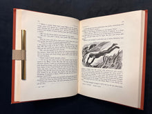 Load image into Gallery viewer, Kiwi Literature: George MacDonald, The Antecedents and Early Life of Valentine Savage (1948)
