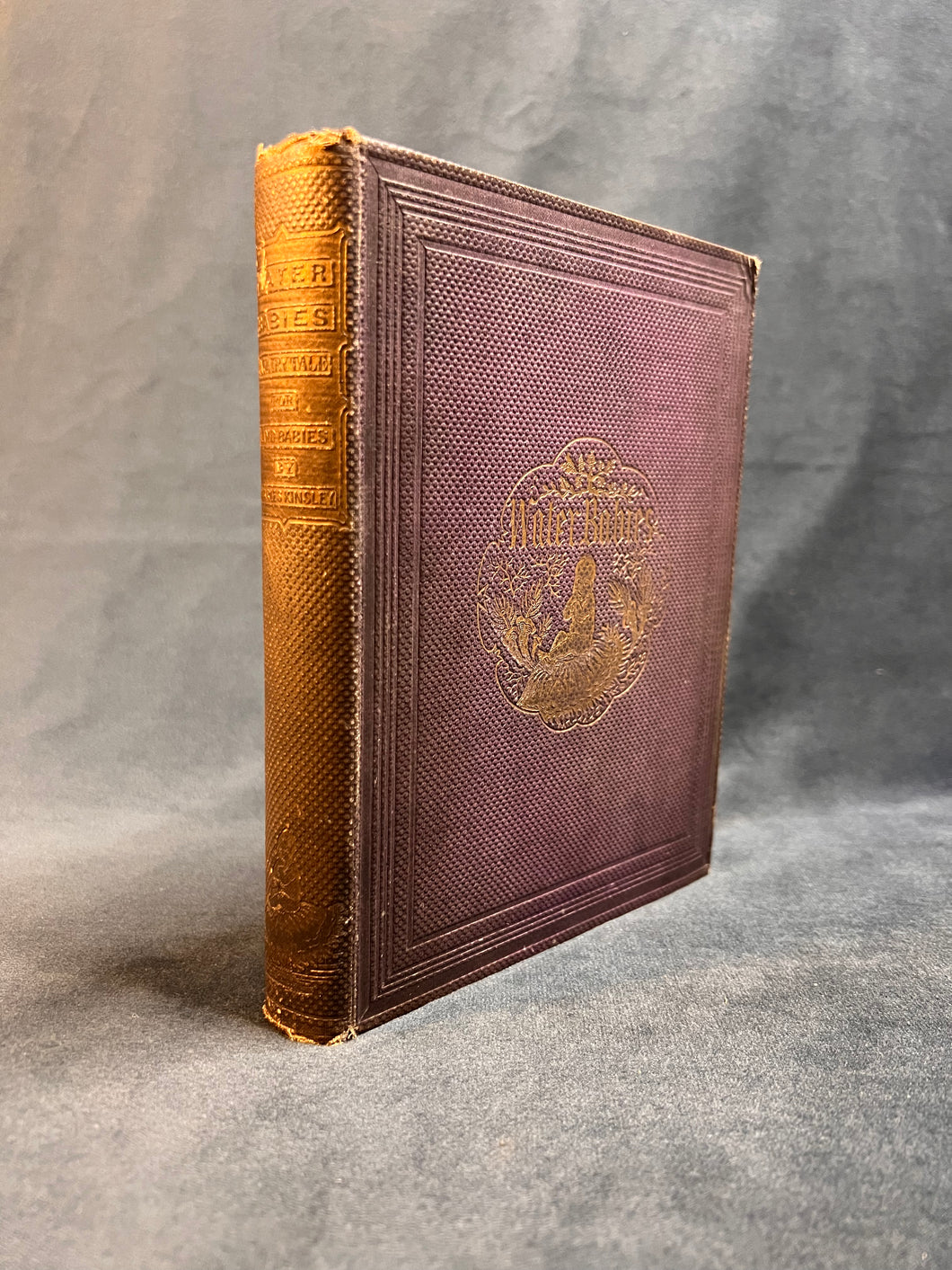 Water-Babies A Fairy Tale for Land-Babies (First edition, 1864)