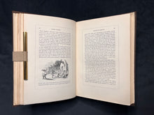 Load image into Gallery viewer, A Union Jack-Colored Perspective on the Flight of the Pilgrims &amp; Establishment of Massachusetts: W.H. Bartlett - The Pilgrim Fathers (1853)
