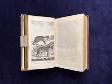 Load image into Gallery viewer, Cats, dogs, &amp; Natural History: René Richard Castel - Histoire naturelle de Buffon (1799)
