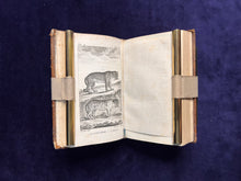 Load image into Gallery viewer, Cats, dogs, &amp; Natural History: René Richard Castel - Histoire naturelle de Buffon (1799)
