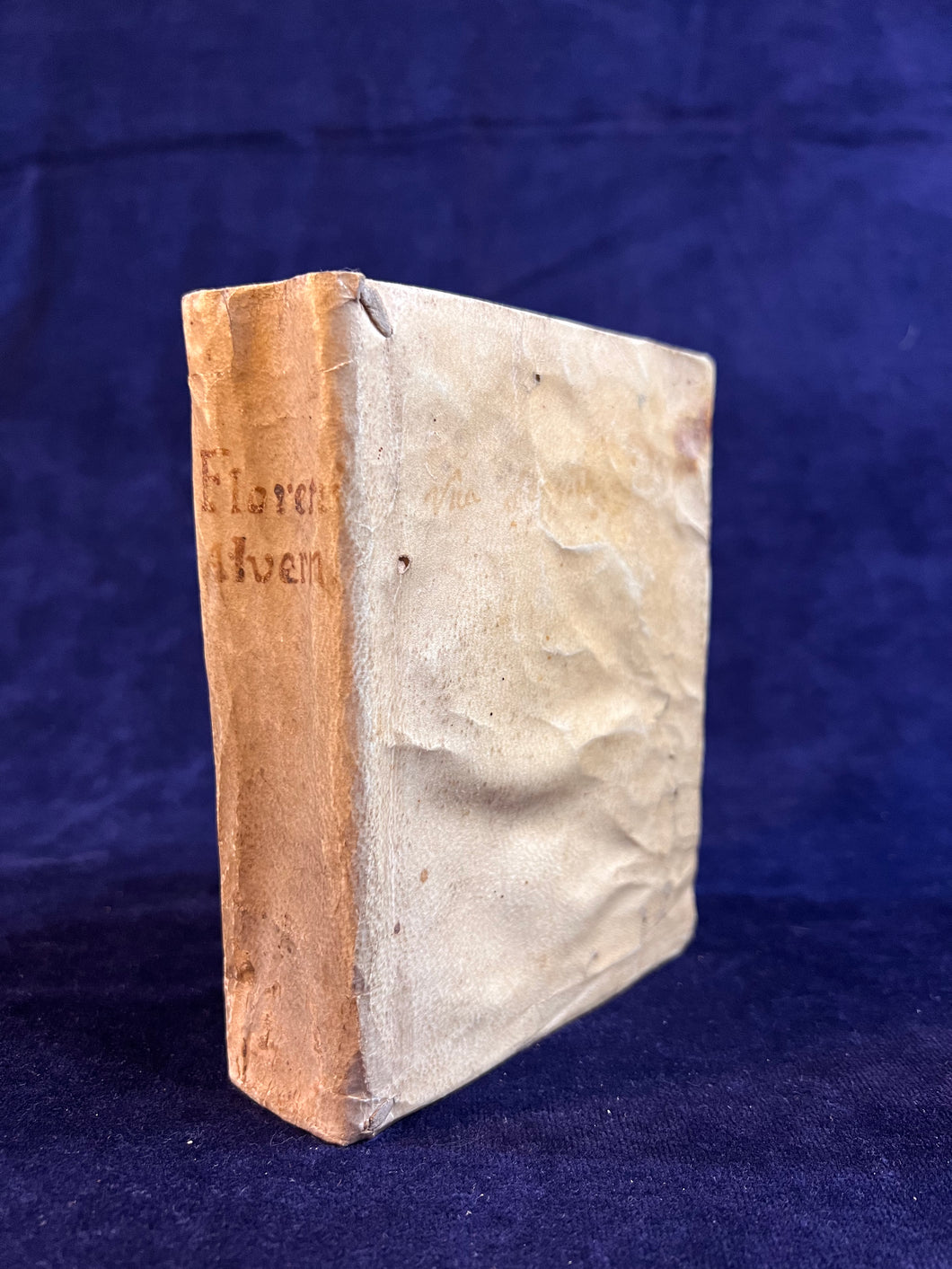 Franciscans & Christ; La Verna & Jerusalem: Salvatore Vitale, Florentum Alvernium (1626)
