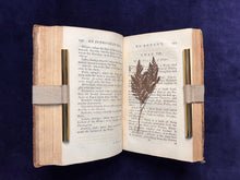 Load image into Gallery viewer, Growth of Linnaeus&#39;s Influence &amp; Pressed Flower Botanical Specimens : James Lee, An Introduction to Botany (1765)
