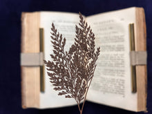 Load image into Gallery viewer, Growth of Linnaeus&#39;s Influence &amp; Pressed Flower Botanical Specimens : James Lee, An Introduction to Botany (1765)
