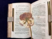 Load image into Gallery viewer, Growth of Linnaeus&#39;s Influence &amp; Pressed Flower Botanical Specimens : James Lee, An Introduction to Botany (1765)

