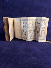 Load image into Gallery viewer, The Age of Botanical Innovation &amp; A Celebration of Lyon:  Marc Antoine Louis Claret de Fleurieu de La Tourrette - Démonstrations élémentaires de botanique. (1766)
