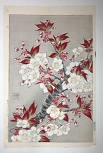 Load image into Gallery viewer, Kawarazaki Shodo, Untitled Cherry Blossoms (Red) (1950-1956)
