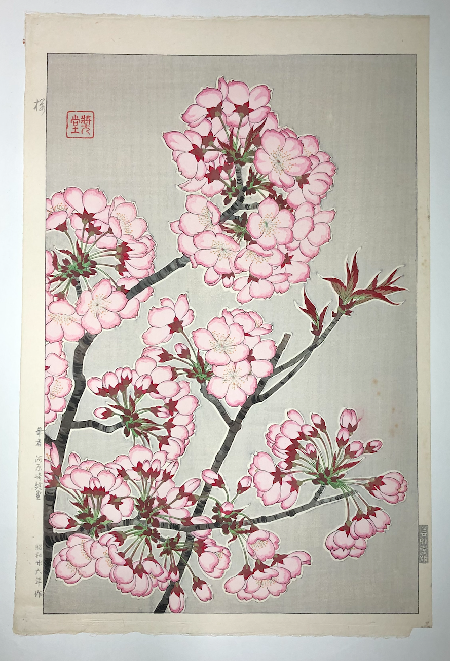 Kawarazaki Shodo, Untitled (Cherry Blossoms, pink) (1950-1956)