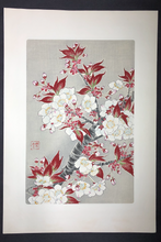 Load image into Gallery viewer, Kawarazaki Shodo, Untitled Cherry Blossoms (Red) (1950-1956)
