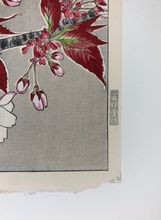 Load image into Gallery viewer, Kawarazaki Shodo, Untitled Cherry Blossoms (Red) (1950-1956)
