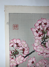 Load image into Gallery viewer, Kawarazaki Shodo, Untitled (Cherry Blossoms, pink) (1950-1956)
