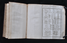 Load image into Gallery viewer, The Age of Botanical Innovation &amp; A Celebration of Lyon:  Marc Antoine Louis Claret de Fleurieu de La Tourrette - Démonstrations élémentaires de botanique. (1766)
